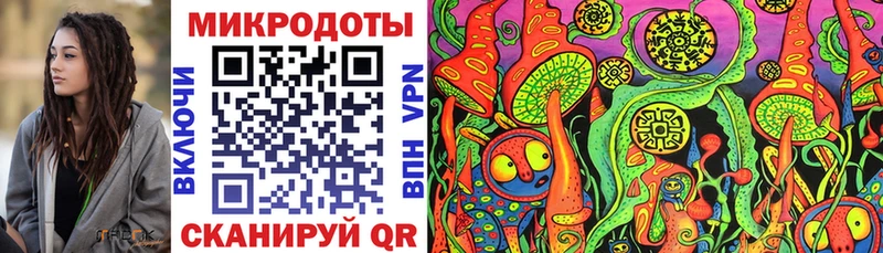 цена наркотик  shop официальный сайт  mega ТОР  Галлюциногенные грибы мухоморы  Стерлитамак 